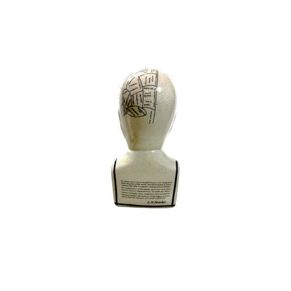 Vintage Reproduction Phrenology Bust by L.N. Fowler