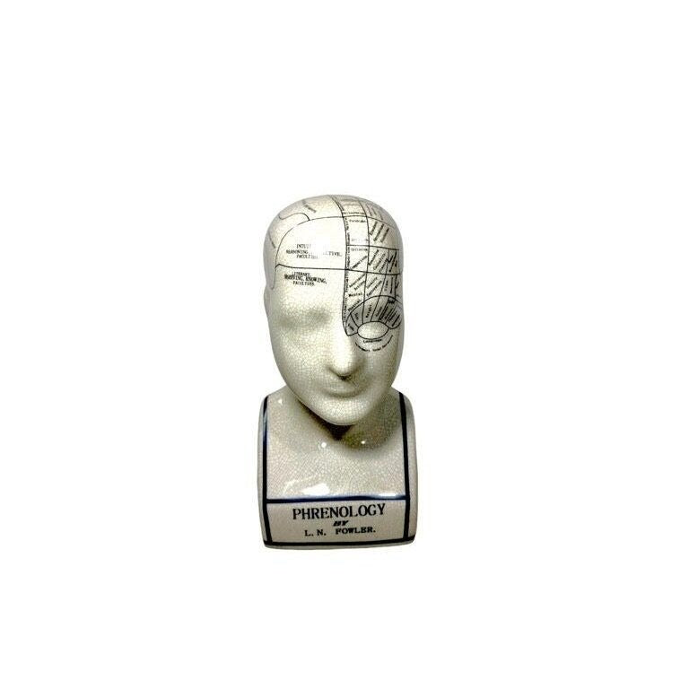 Vintage Reproduction Phrenology Bust by L.N. Fowler