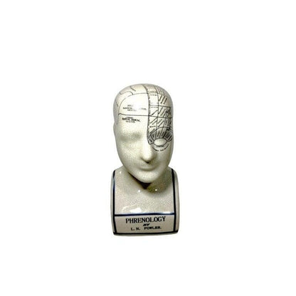 Vintage Reproduction Phrenology Bust by L.N. Fowler