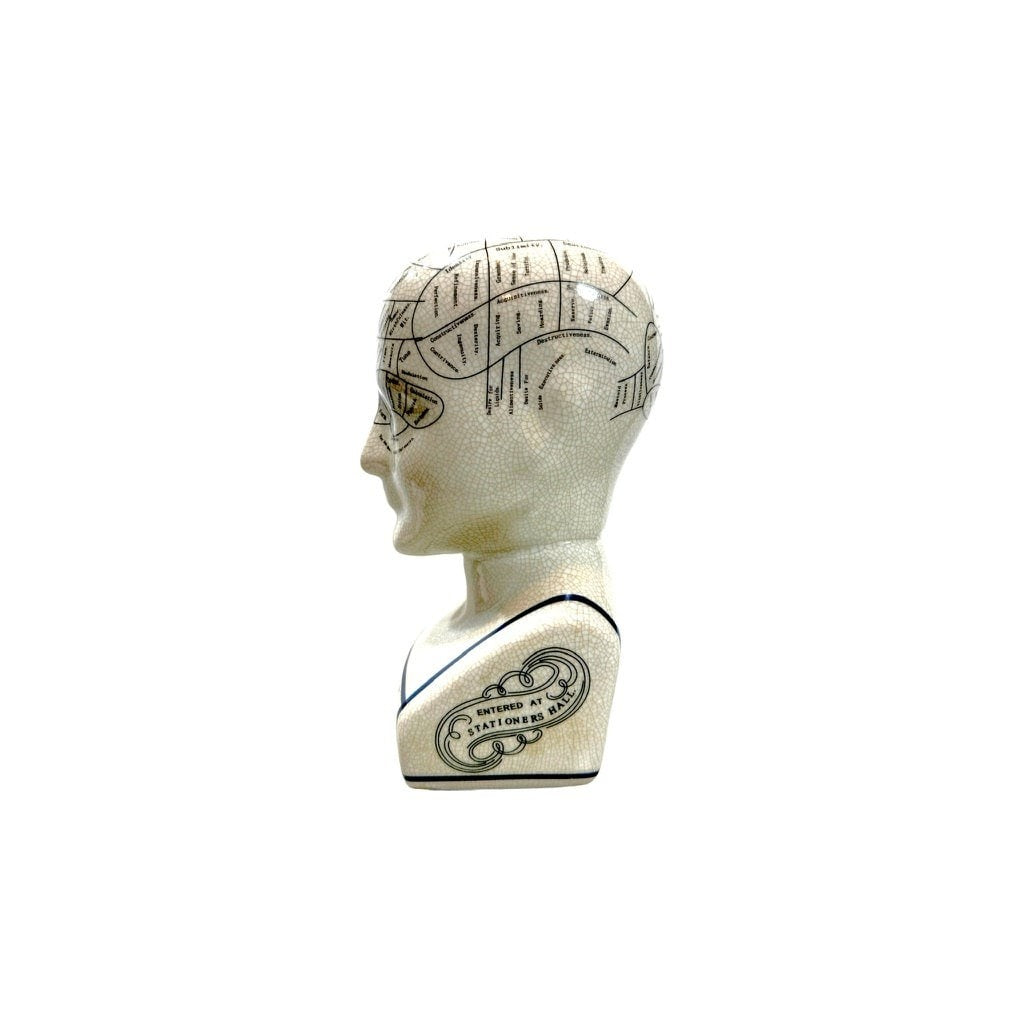 Vintage Reproduction Phrenology Bust by L.N. Fowler