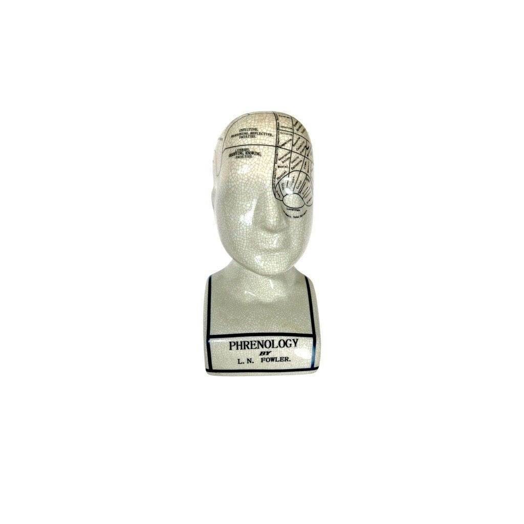 Vintage Reproduction Phrenology Bust by L.N. Fowler