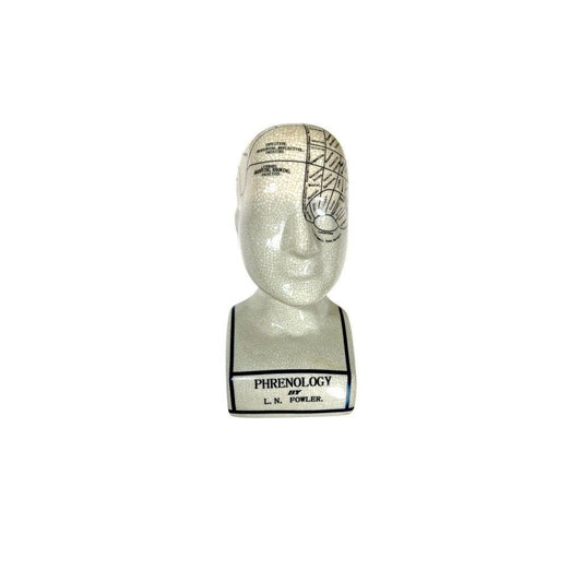 Vintage Reproduction Phrenology Bust by L.N. Fowler