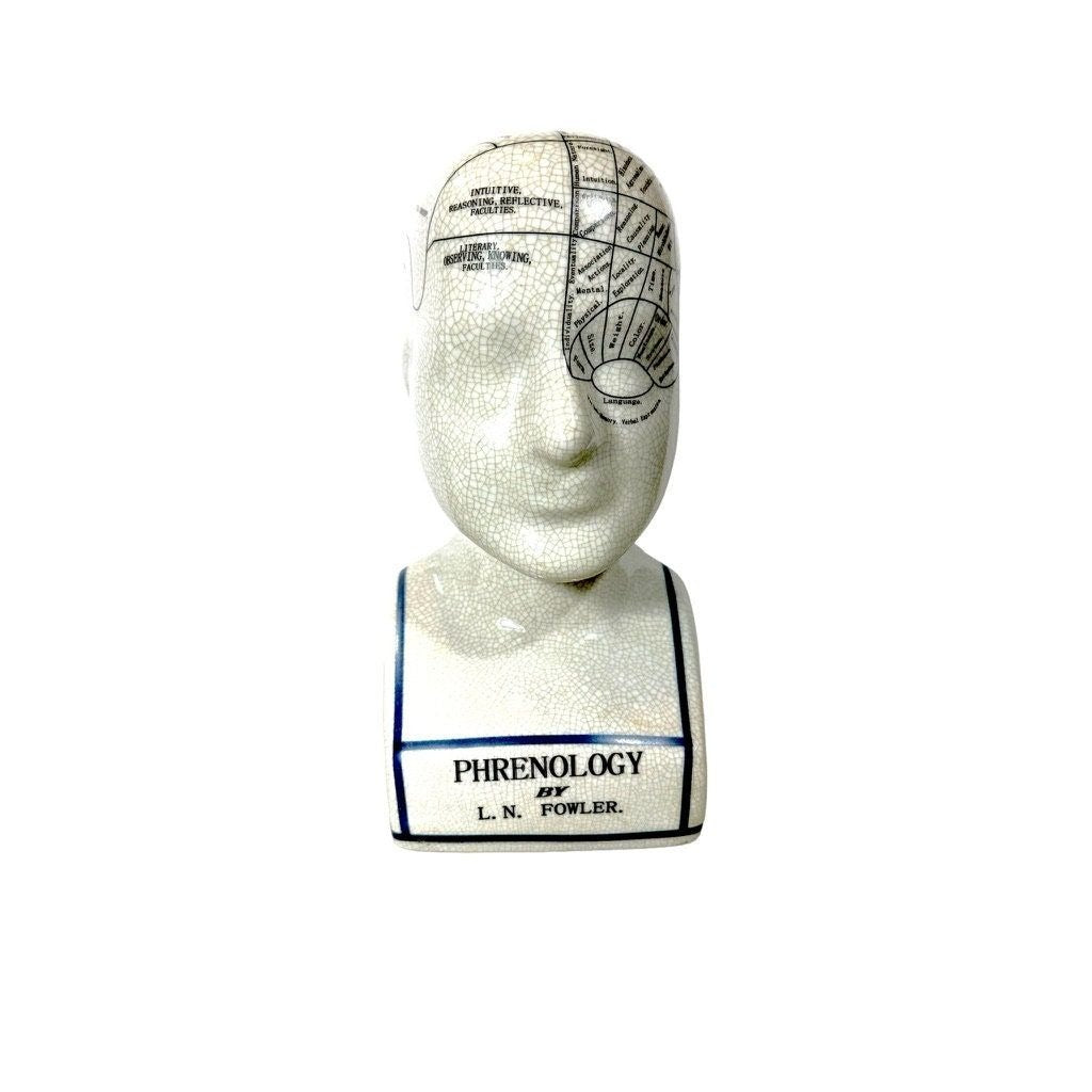 Vintage Reproduction Phrenology Bust by L.N. Fowler