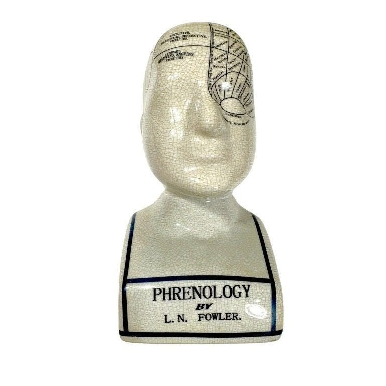 Vintage Reproduction Phrenology Bust by L.N. Fowler