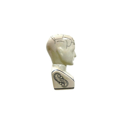 Vintage Reproduction Phrenology Bust by L.N. Fowler