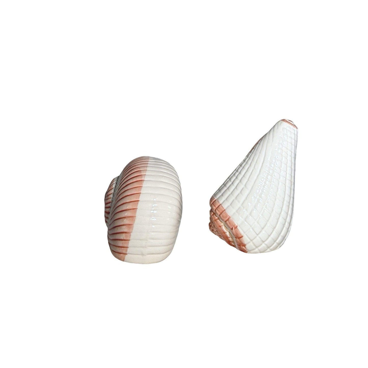 Ceramic Seashell Salt Pepper Shakers Hand-Painted Coral & White Coastal Design