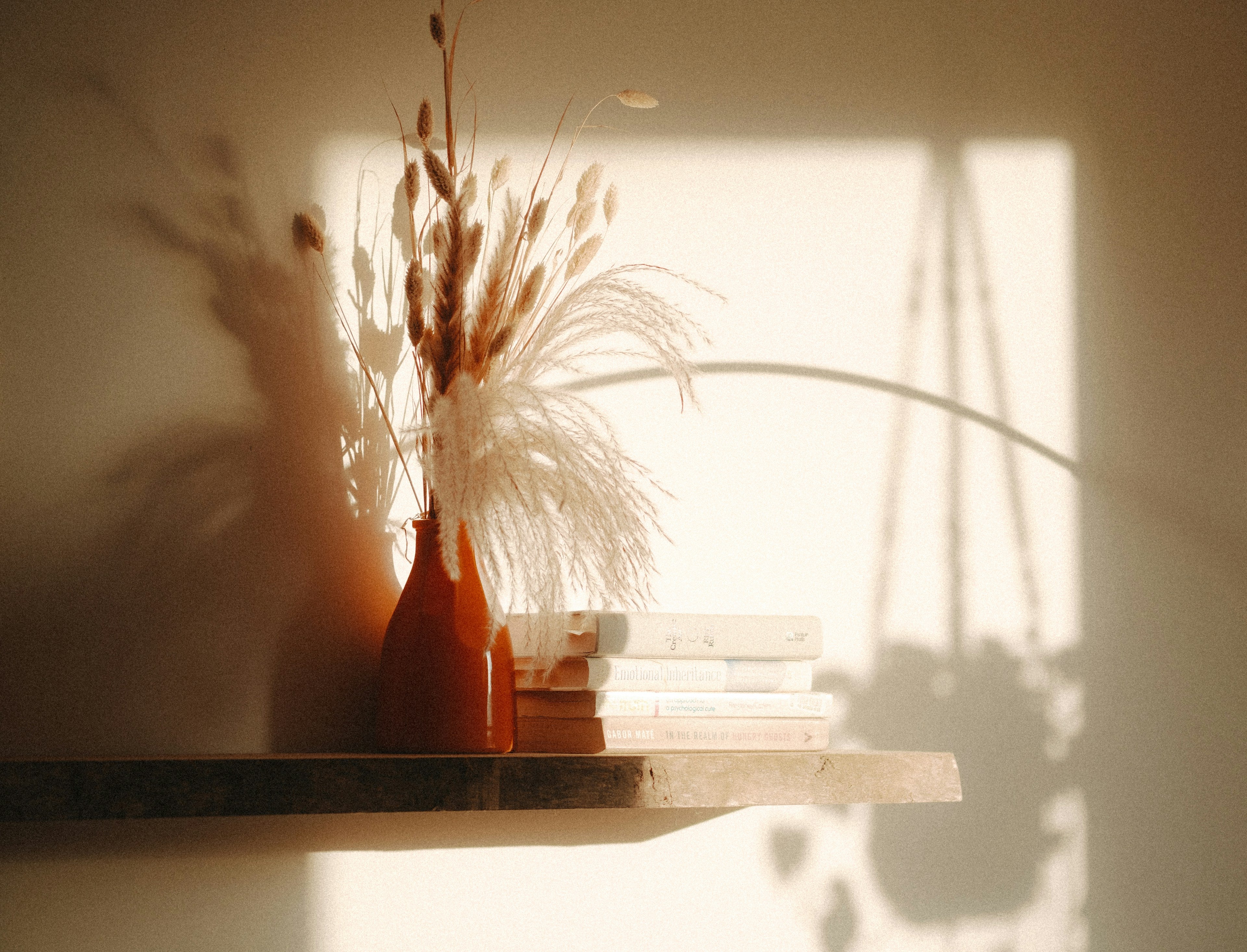 Curated vintage glass and ceramic vases displayed on a shelf in warm natural light